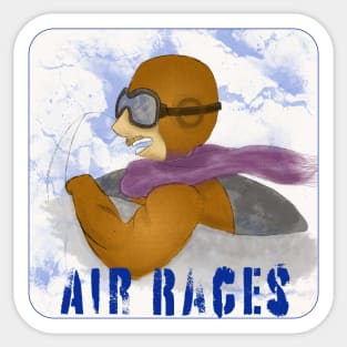 Air Races, Sky Races Sticker